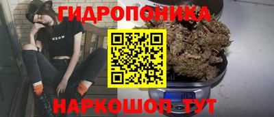 mix Будённовск