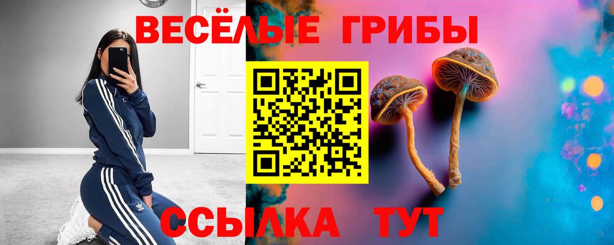 Псилоцибиновые грибы Cubensis Саров